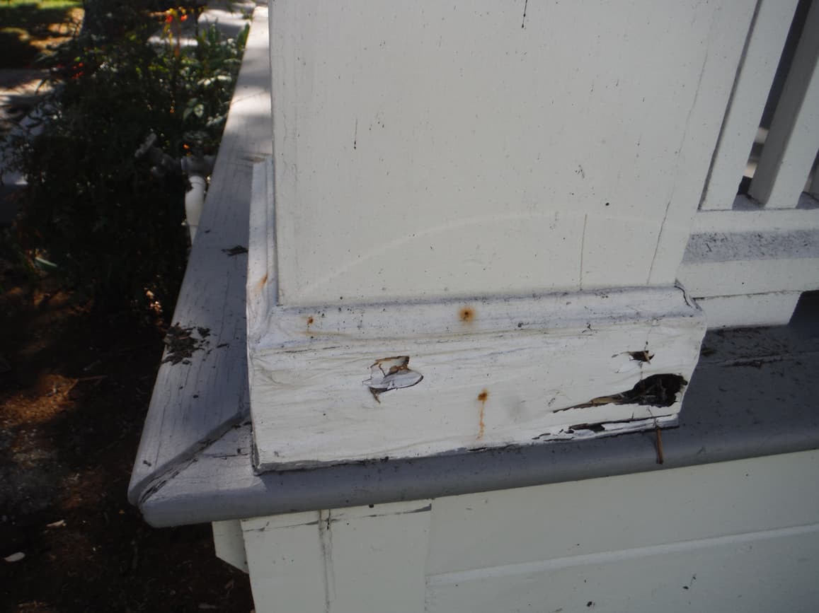 DRY or WET ROT can destroy your structures and spread throughout your house and home. 