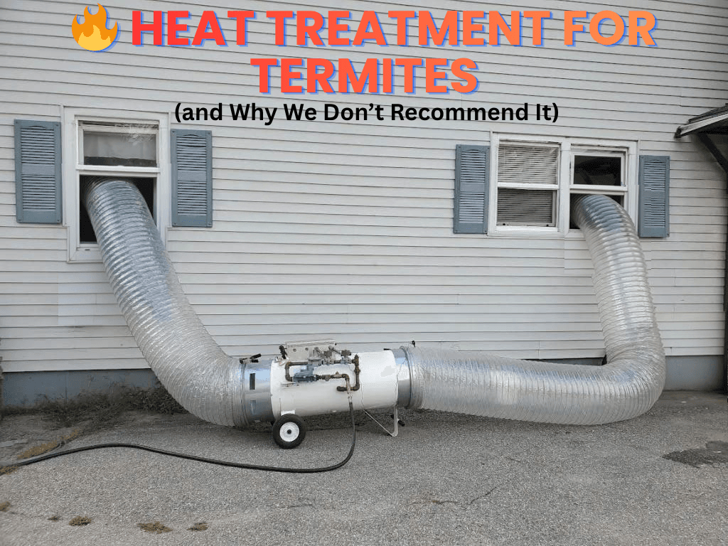 Heat Treatment for Termites