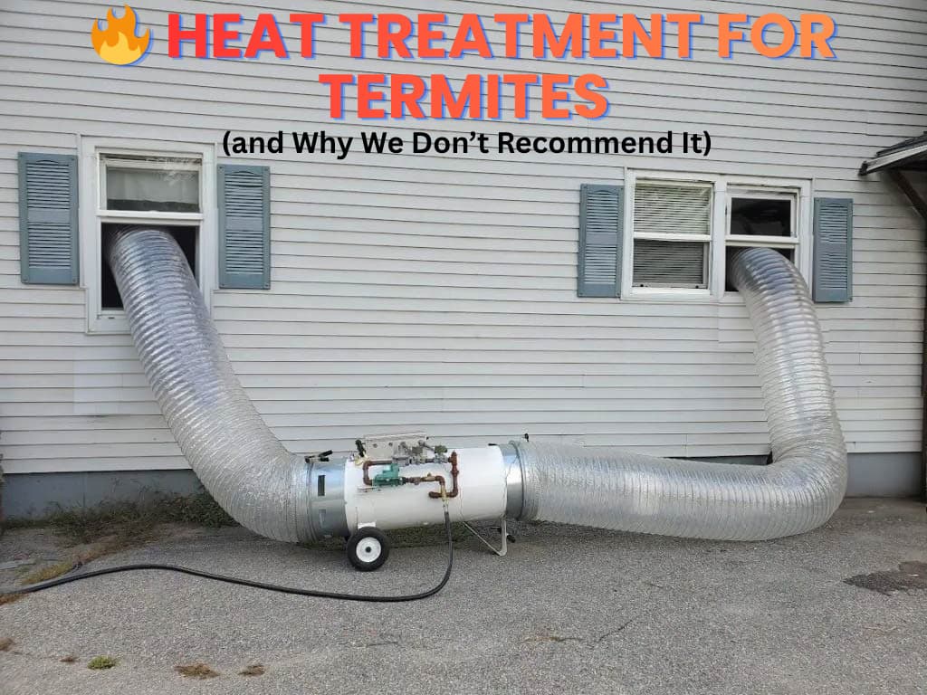 Heat Treatment for Termites